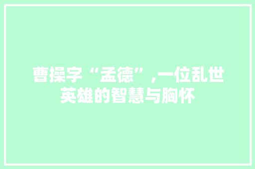 曹操字“孟德”,一位乱世英雄的智慧与胸怀 成语汇编
