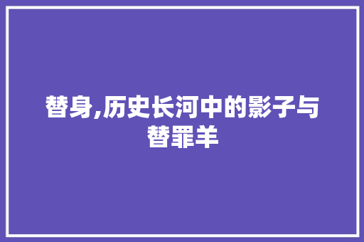 替身,历史长河中的影子与替罪羊