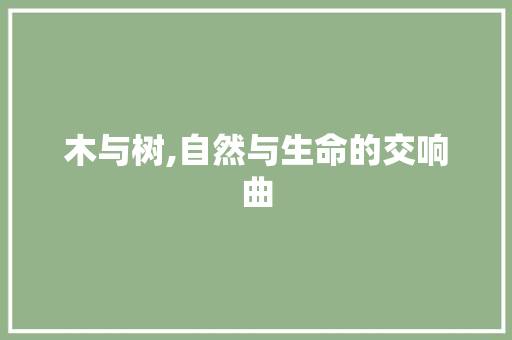 木与树,自然与生命的交响曲