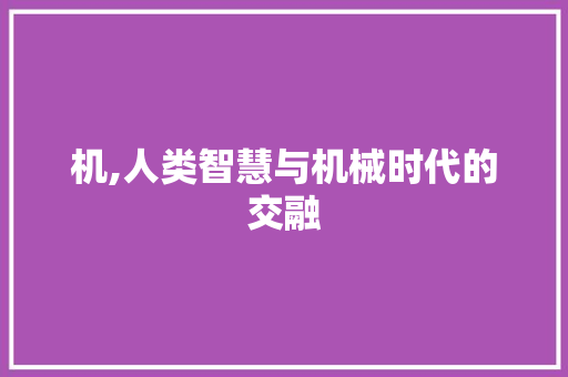 机,人类智慧与机械时代的交融
