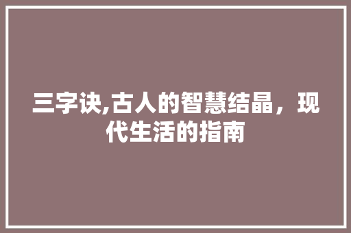 三字诀,古人的智慧结晶，现代生活的指南 反义词汇