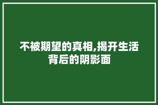 不被期望的真相,揭开生活背后的阴影面