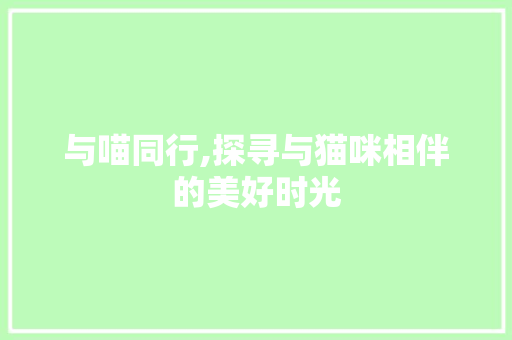 与喵同行,探寻与猫咪相伴的美好时光