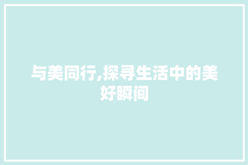 与美同行,探寻生活中的美好瞬间