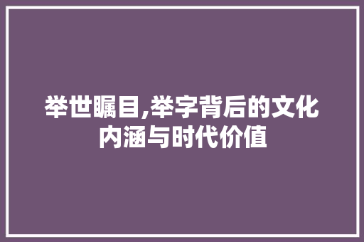 举世瞩目,举字背后的文化内涵与时代价值