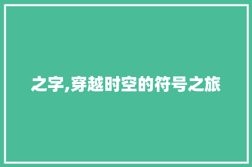 之字,穿越时空的符号之旅
