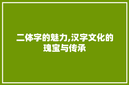 二体字的魅力,汉字文化的瑰宝与传承