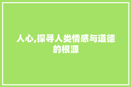 人心,探寻人类情感与道德的根源