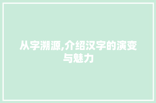 从字溯源,介绍汉字的演变与魅力 汉字拼音