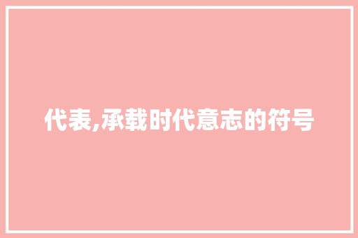 代表,承载时代意志的符号 问答