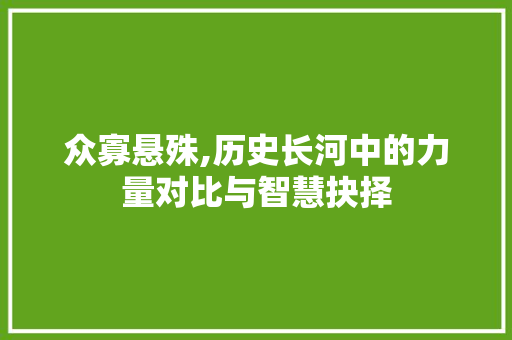 众寡悬殊,历史长河中的力量对比与智慧抉择
