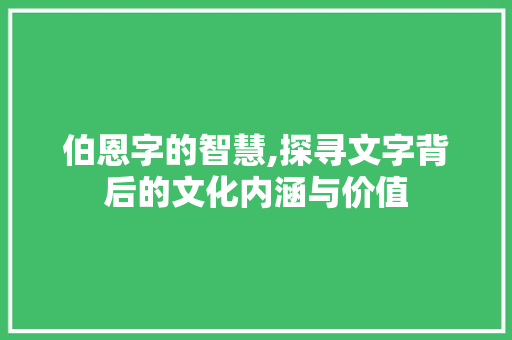 伯恩字的智慧,探寻文字背后的文化内涵与价值
