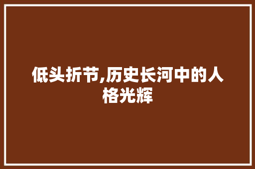 低头折节,历史长河中的人格光辉