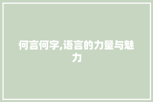 何言何字,语言的力量与魅力