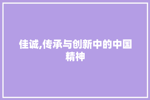 佳诚,传承与创新中的中国精神 问答