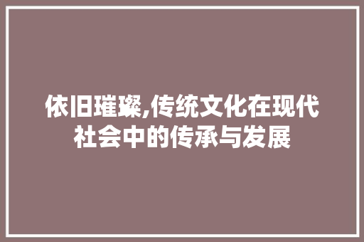 依旧璀璨,传统文化在现代社会中的传承与发展
