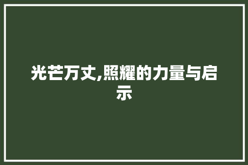 光芒万丈,照耀的力量与启示