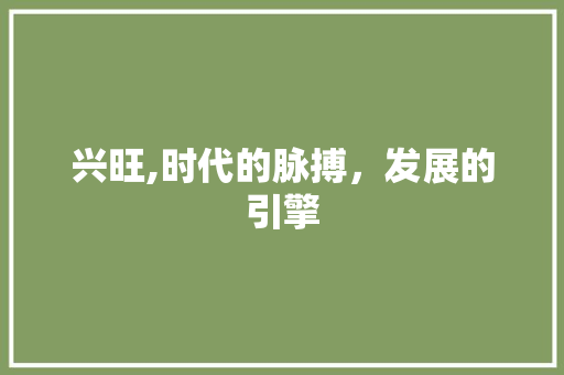 兴旺,时代的脉搏，发展的引擎 成语汇编