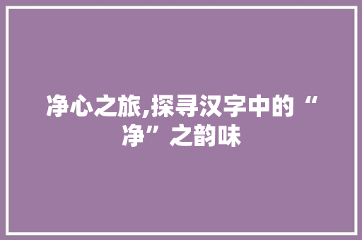 净心之旅,探寻汉字中的“净”之韵味