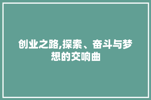 创业之路,探索、奋斗与梦想的交响曲 近义词汇