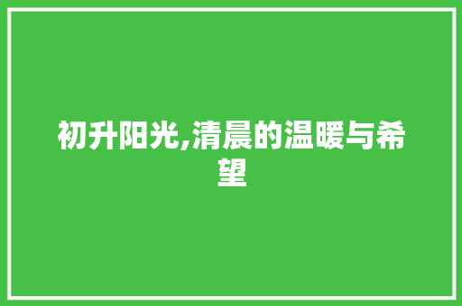 初升阳光,清晨的温暖与希望