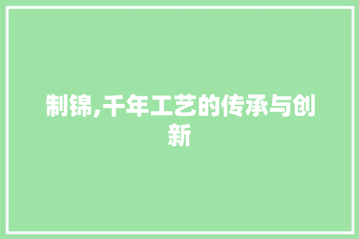 制锦,千年工艺的传承与创新