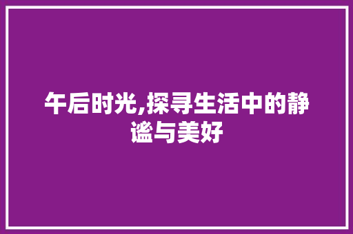 午后时光,探寻生活中的静谧与美好