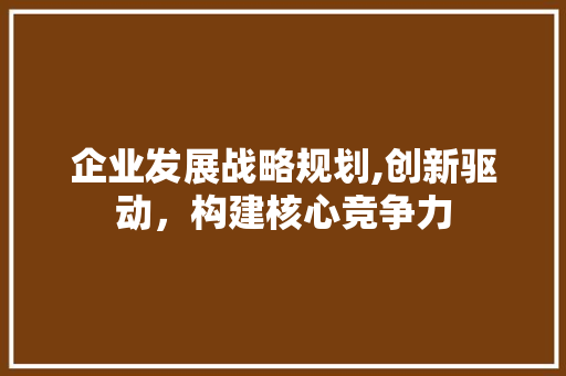 企业发展战略规划,创新驱动，构建核心竞争力