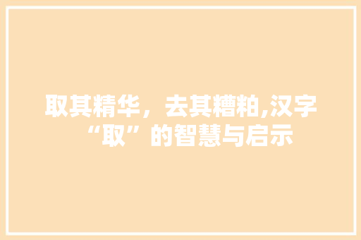 取其精华，去其糟粕,汉字“取”的智慧与启示 短语