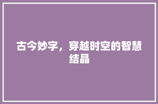 古今妙字，穿越时空的智慧结晶