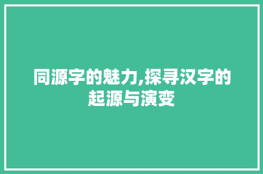 同源字的魅力,探寻汉字的起源与演变