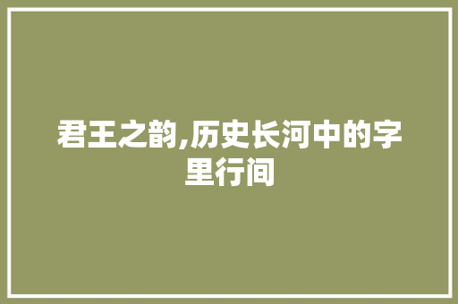 君王之韵,历史长河中的字里行间