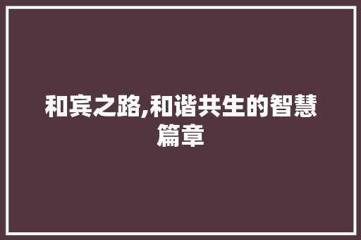 和宾之路,和谐共生的智慧篇章