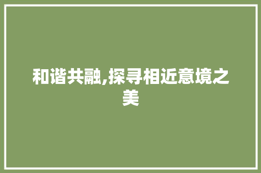 和谐共融,探寻相近意境之美