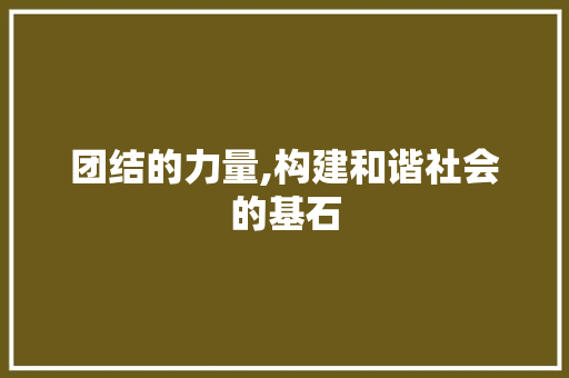 团结的力量,构建和谐社会的基石