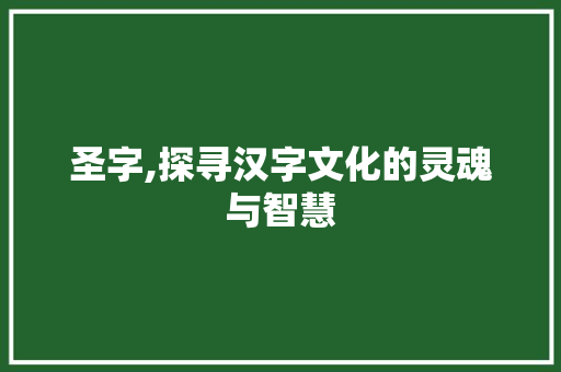 圣字,探寻汉字文化的灵魂与智慧 英语单词