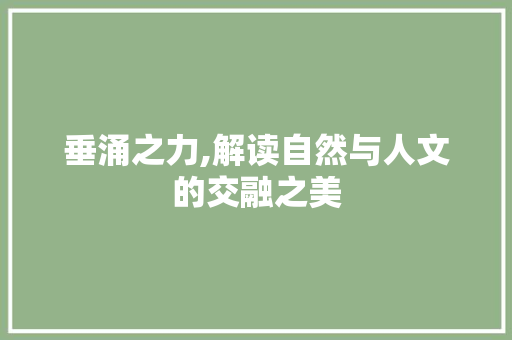 垂涌之力,解读自然与人文的交融之美