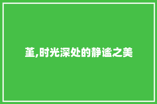 堇,时光深处的静谧之美