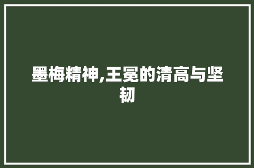 墨梅精神,王冕的清高与坚韧