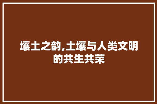 壤土之韵,土壤与人类文明的共生共荣
