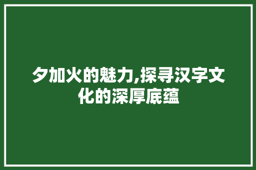 夕加火的魅力,探寻汉字文化的深厚底蕴 问答
