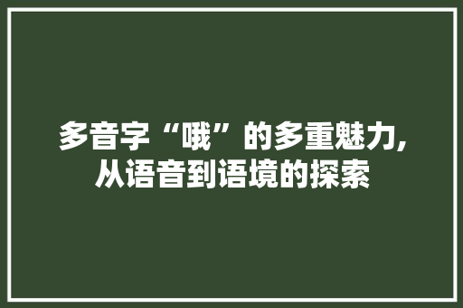 多音字“哦”的多重魅力,从语音到语境的探索 汉字拼音