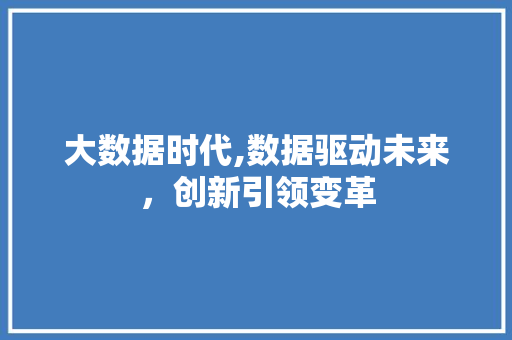 大数据时代,数据驱动未来，创新引领变革