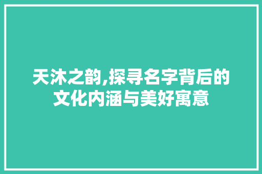 天沐之韵,探寻名字背后的文化内涵与美好寓意
