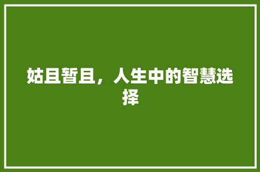姑且暂且，人生中的智慧选择