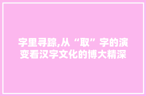 字里寻踪,从“取”字的演变看汉字文化的博大精深