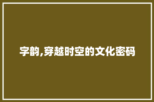 字韵,穿越时空的文化密码