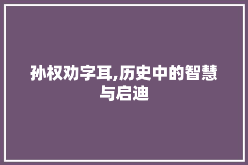 孙权劝字耳,历史中的智慧与启迪