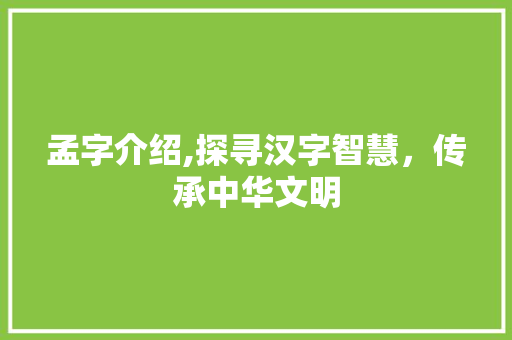 孟字介绍,探寻汉字智慧，传承中华文明