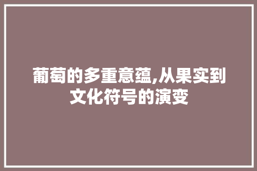 葡萄的多重意蕴,从果实到文化符号的演变